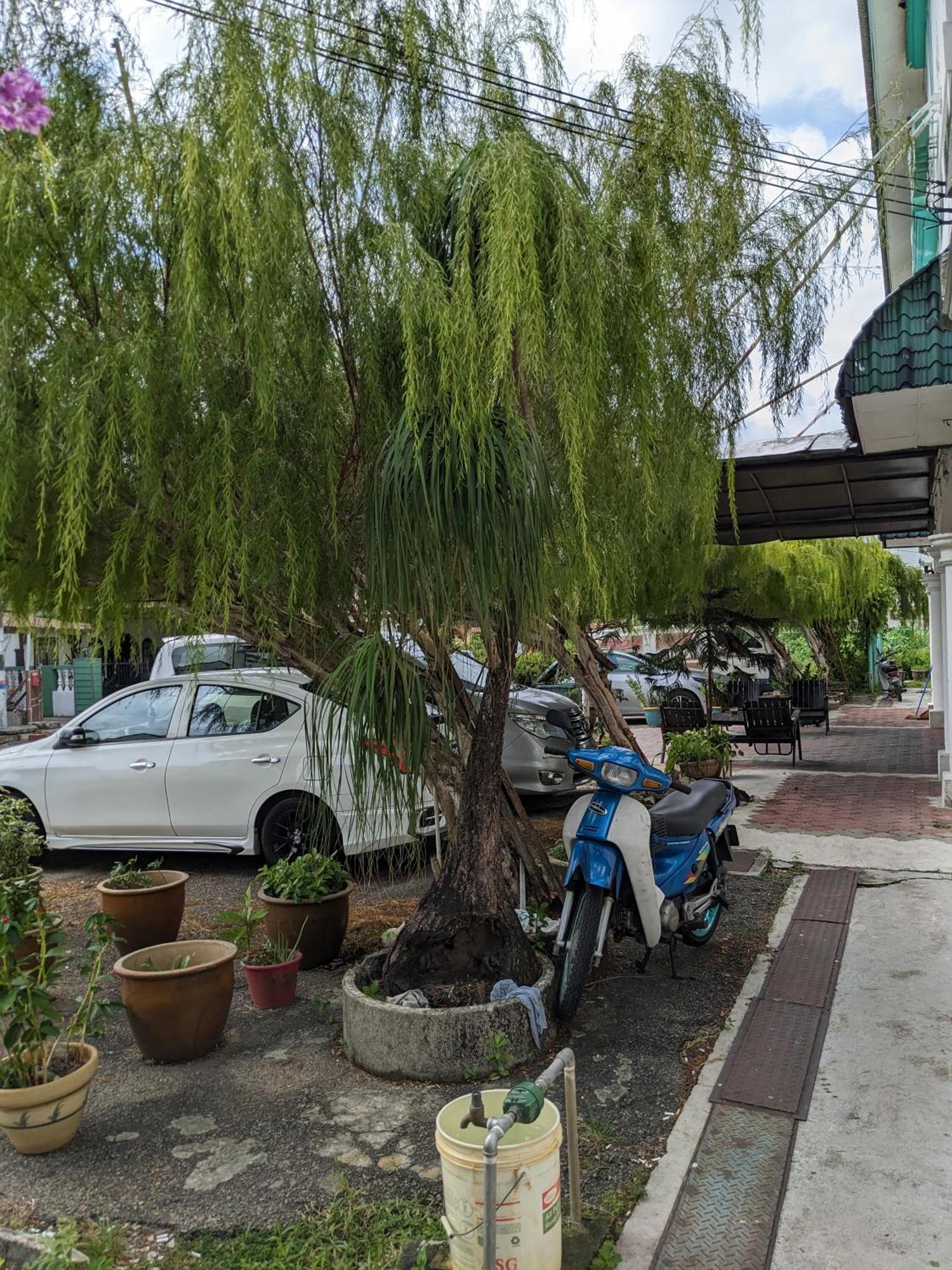 Ene Sri Cemerlang 哥打巴鲁 外观 照片