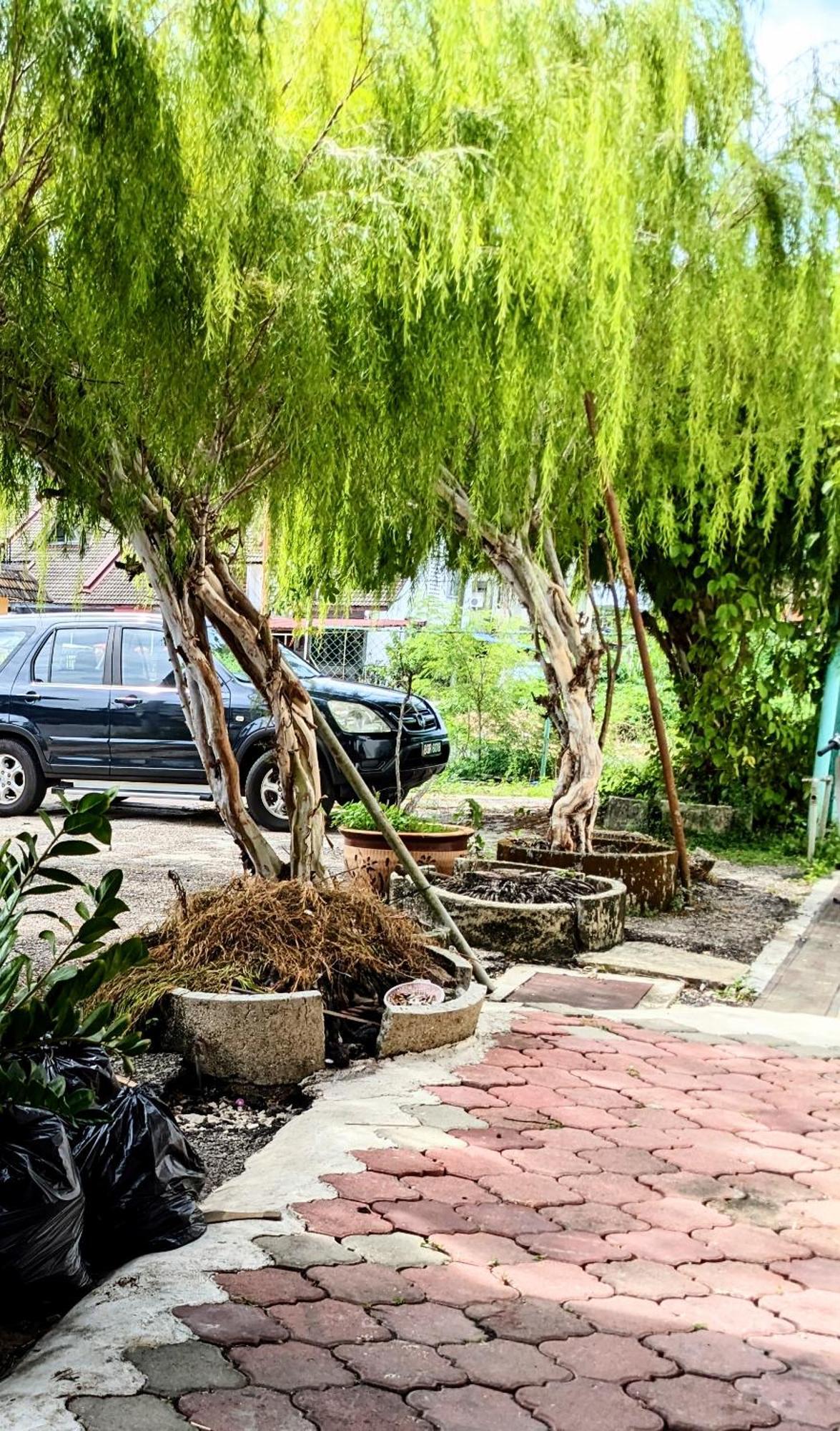 Ene Sri Cemerlang 哥打巴鲁 外观 照片